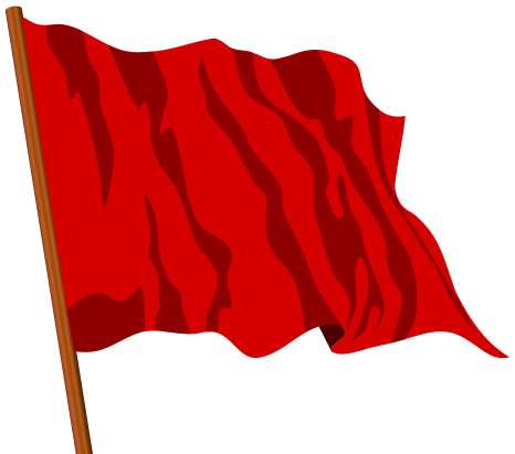 The traditional red socialist flag.